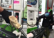 Bahaya Mengintai Mesin Motor Akibat Sering Oplos Pertalite dan Pertamax