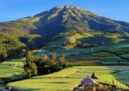 Cileungsi: Fenomena Pencurian, Kesalahpahaman, dan Keindahan Alam yang Menarik Perhatian