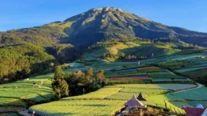 Cileungsi: Fenomena Pencurian, Kesalahpahaman, dan Keindahan Alam yang Menarik Perhatian