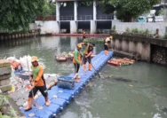 DLH Demak Optimalkan Bank Sampah Induk untuk Tekan Produksi Limbah Rumah Tangga