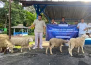 Holding Perkebunan Nusantara Salurkan 101 Hewan Kurban melalui PTPN I Regional 5 untuk Masyarakat Jawa Timur