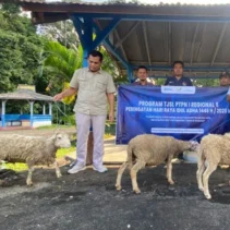 Holding Perkebunan Nusantara Salurkan 101 Hewan Kurban melalui PTPN I Regional 5 untuk Masyarakat Jawa Timur