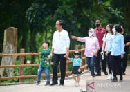 Jokowi Memulai Safari Politik Sambil Dihujani Kritikan dan Dukungan