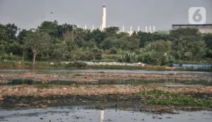 Normalisasi Situ Pengarengan oleh Dinas SDA Depok: Pengangkatan Sedimen Lumpur Setebal 2 Meter untuk Cegah Banjir