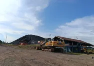 PLN Hadapi Krisis: Kekurangan 20 Juta Metrik Ton Batu Bara, Kementerian ESDM Putar Otak