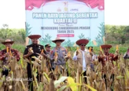 Polres Tabalong Pantau Pertumbuhan Jagung Hibrida di Desa Muang Untuk Mendukung Ketahanan Pangan Nasional