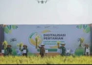 Revolusi Pertanian: Dari 5-6 Ton Jadi 12,4 Ton per Hektare Berkat Sistem Tanam Baru