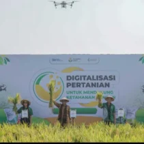 Revolusi Pertanian: Dari 5-6 Ton Jadi 12,4 Ton per Hektare Berkat Sistem Tanam Baru