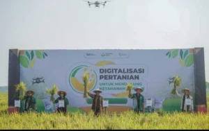 Revolusi Pertanian: Dari 5-6 Ton Jadi 12,4 Ton per Hektare Berkat Sistem Tanam Baru