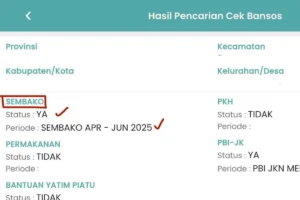 Status BPNT Belum Cair? Ini Dia Solusi dan Cara Cek Bansos Kemensos!