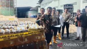 Warga Karanganyar Resah, Minyakita Berbau Solar Sebabkan Tenggorokan Sakit