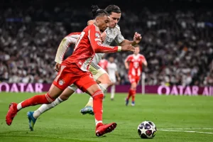 Bayern Munchen Pertahankan Olise, Real Madrid Mundur dari Perburuan