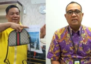 Dea Arranoya: Kontroversi Flexing yang Mengguncang Karier Pejabat Gayo Lues