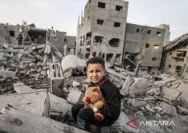 Genosida yang Mengguncang Dunia: PBB Ungkap 30% Korban Tewas di Gaza adalah Anak-anak