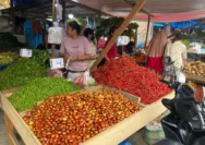 Harga Pangan Anjlok di Purwokerto, Sentimen Negatif Tekan Pasar Modal
