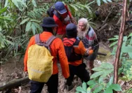 Kisah Menegangkan: Nenek Hilang di Hutan Lingga Ditemukan dalam Kondisi Selamat