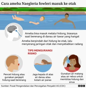 Rasanya seperti film horor - Ameba 'pemakan otak' yang telah menyebar ke seluruh dunia dan pembangunan gereja di Makassar