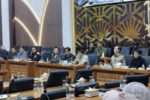 RUU Hak Cipta: Ancaman Terhadap Kebebasan Pers dan Kelompok Rentan