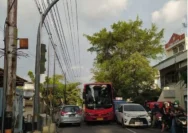 Sopir Bus Nganjuk Ugal-Ugalan, Cuma Ditilang! Apa Kata Pengamat Transportasi?
