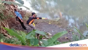 Tragedi di Sragen: Siswi Tewas Brutal, Tak Sempat Teriak Minta Tolong