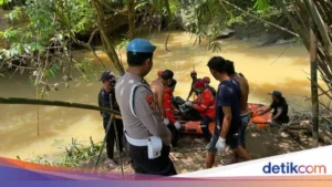 Tragedi Menghantui: Bocah SD Delapan Tahun Diterkam Buaya di Sungai Cantung Kotabaru Kalsel