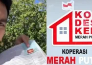 Viral Video Calon Manajer Kopdes Merayap di Got, Kemenhan Pastikan Hoaks