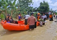 Fenomena Kampung Tenggelam di Demak: Warga Bertahan di Tengah Banjir Rob