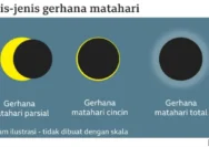 Gerhana: Momen Magis yang Mengubah Nasib Zodiak hingga Pariwisata