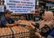 Harga Kopra dan Telur Anjlok, Peternak dan Petani Menghadapi Tantangan
