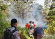 Kebakaran Hutan Melanda Bulungan, Warga dan Pemerintah Bersatu Hadapi Ancaman Asap