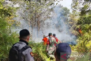 Kebakaran Hutan Melanda Bulungan, Warga dan Pemerintah Bersatu Hadapi Ancaman Asap