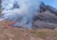 Kebakaran Meluas di Gunung Bromo, Wisata Puncak Seruni Point Ditutup Total