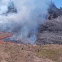 Kebakaran Meluas di Gunung Bromo, Wisata Puncak Seruni Point Ditutup Total