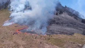 Kebakaran Meluas di Gunung Bromo, Wisata Puncak Seruni Point Ditutup Total