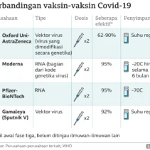Mengungkap Alasan di Balik Kepercayaan Terhadap Teori Konspirasi Vaksin COVID-19