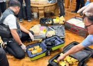Misteri Emas 74 Kg: Temuan Kejagung saat Menggeledah Rumah Don Ritto Terungkap