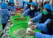 Pangkal Pinang Hadapi Tantangan Pangan dan Cuaca: Apa Yang Perlu Diketahui?