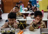 Perhatian Publik Terhadap Makan Bergizi Gratis: Kasus Keracunan di Jayapura Mengguncang Program Pemerintah