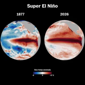 Super El Nino Terparah dalam 500 Tahun: Ancaman Serius untuk Dunia