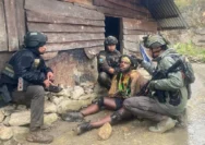 TPNPB-OPM Didorong untuk Menghentikan Kekerasan di Papua
